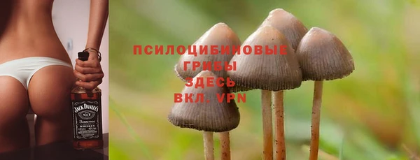 дживик Балабаново