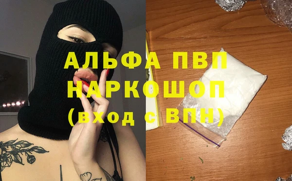 эйфоретик Баксан